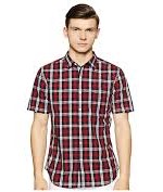 Levis Casual Shirt for Men (Checkered, Regular fit, Classic look, Machine wash  )