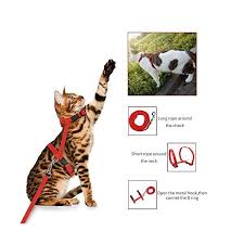 PSK Trading Co Cat adjustable Nylon Leash (For small cat or puppies under 5Kg., Neck 15-26cm, Chest 24-39cm adjustable size)