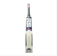 Sareen Sports Industries(SS) Cricket Bat Soft pro Kashmir Willow  (Air Dried Willow, 3 Tone Grips, With Carry Bag, 1.02Kg Weight)