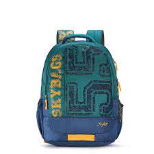 Skybags Bingo 31.8L School Backpack  (Polyester material, Green colour, 3 compartments, Padded Shoulder Straps and handle carry bag)