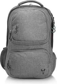 Skybags  Crew 04 Gray Laptop Backpack (34 Litres, With Raincover, Size 53 x 23 x 35CM (LxWxH), 3 compartments, )