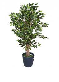Fourwalls Green Polyester Artificial Ficus Plant (Without Pot, 150 cm High)